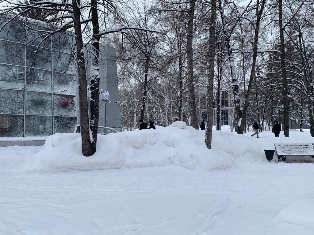 Мэрия подумает, что делать с Park Café после получения решения суда