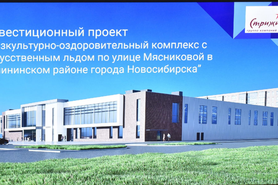 Ледовый дворец ГК «Стрижи» одобрили на инвестсовете