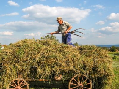 Как начать бизнес через соцконтракт