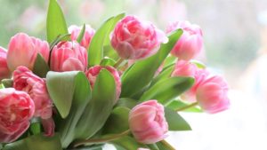 Россияне на треть увеличили траты на цветы и конфеты к 8 марта