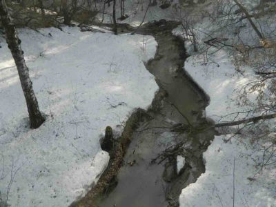 Новосибирск попросит федеральные деньги на малые реки