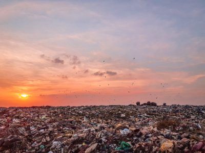 «Мусорный» вопрос уходит в лето