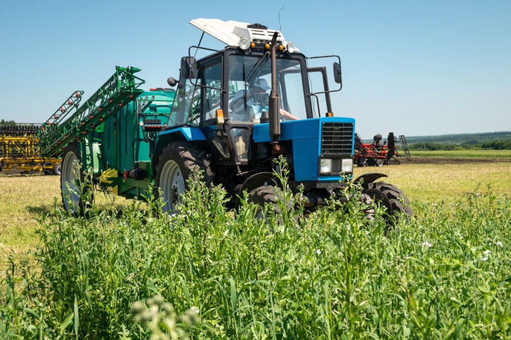 Глава РСХБ Борис Листов: «Мы вносим свой вклад в обеспечение продовольственной безопасности страны»
