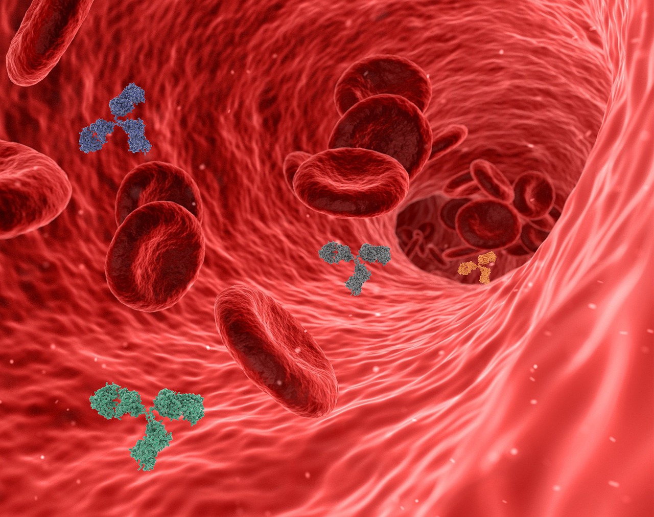 Анализ крови на уровень мочевой кислоты