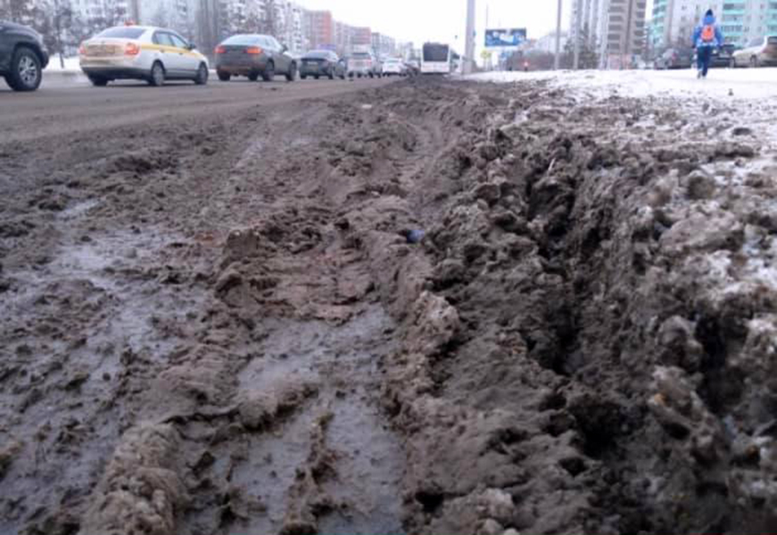 Прокурора Новосибирска попросили проверить безопасность бионорда