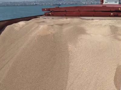 новости Новосибирска