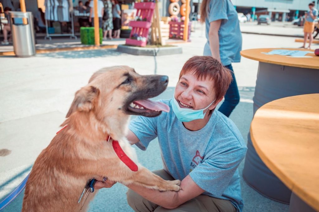 В Новосибирске вновь стал вопрос о том, кто возглавит центр по проблемам животных