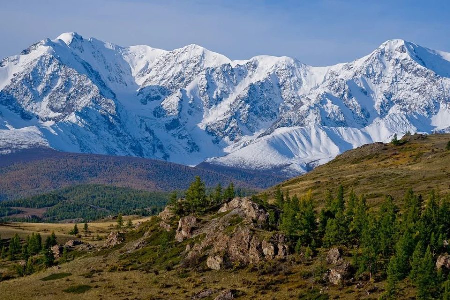 Майские туры на Алтай 2022