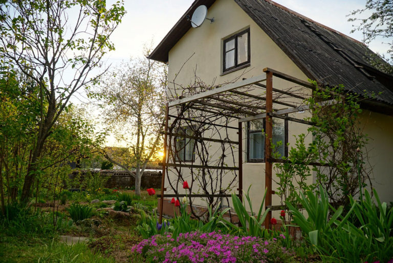 Новости Новосибирска