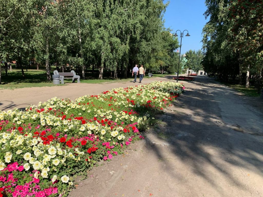 Летом в Новосибирске будет больше газонов и цветов