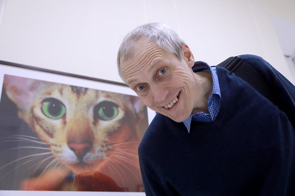 Выставки Новосибирска. Всем нужны мир, согласие, дружелюбие. И котики