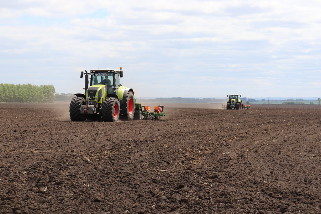 Посевная 2022 года уже обойдется новосибирским аграриям на 50% дороже, чем годом ранее