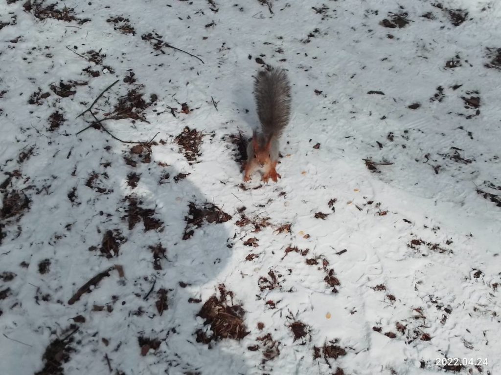 Закон об особо охраняемых территориях суд отправил на доработку