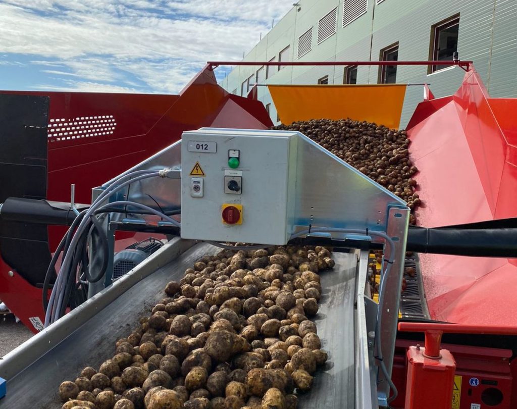 В регионе ожидается большой урожай картофеля