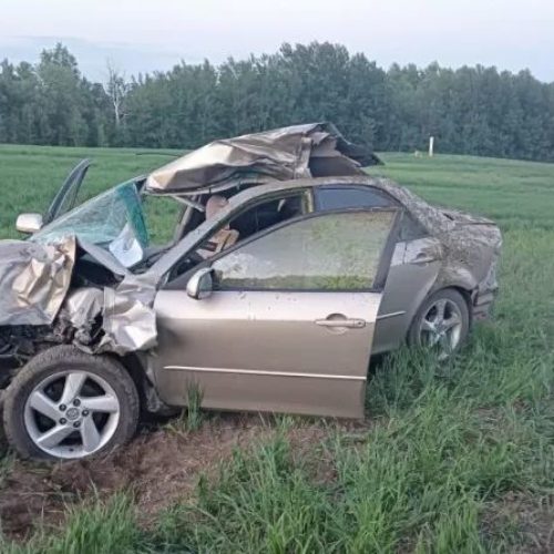 Водитель и ребенок-пассажир Mazda погибли в результате ДТП с лосем