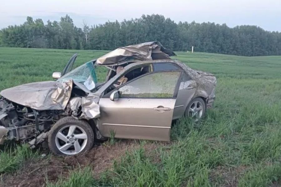 Водитель и ребенок-пассажир Mazda погибли в результате ДТП с лосем