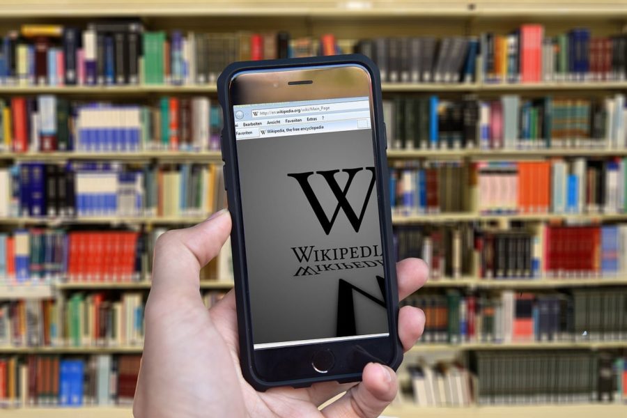 Роскомнадзор обязал поисковики пометить «Википедию» как нарушителя закона