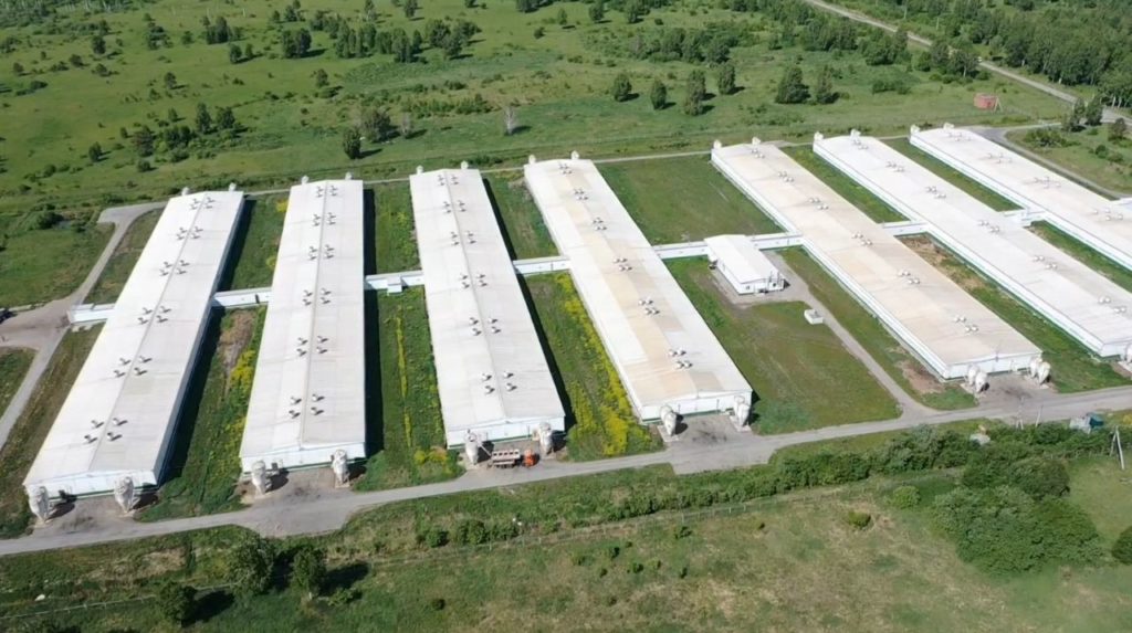 Пoлмиллиapдa рублей вложит «Сибагро» в первый этап реконструкции свинокомплексов