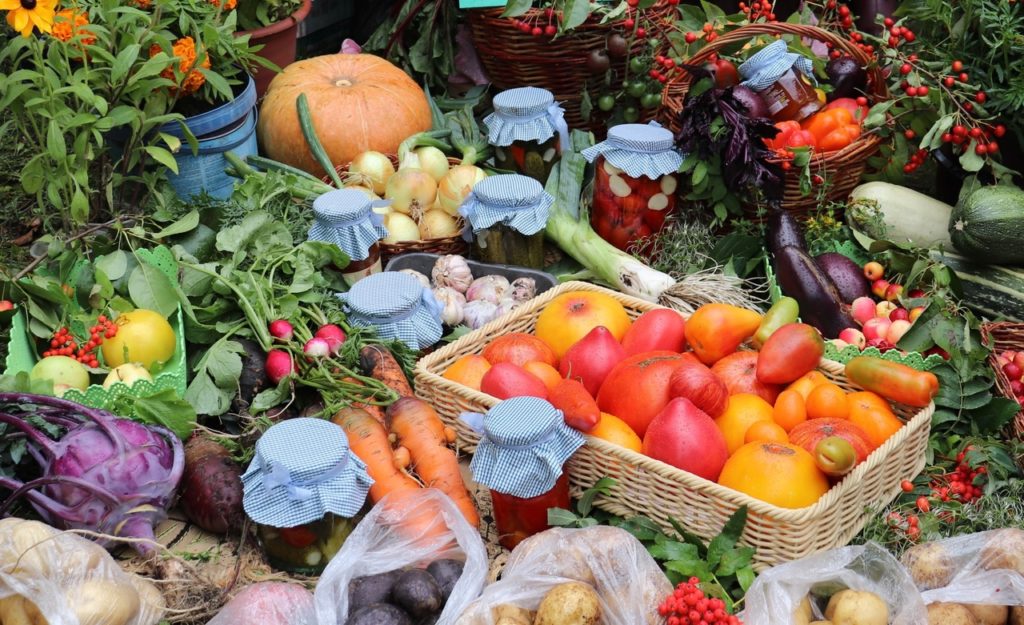 В Новосибирской области расширяется сеть лабораторий для контроля за продуктами питания