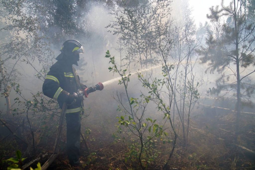 лесные пожары в Рязанской области