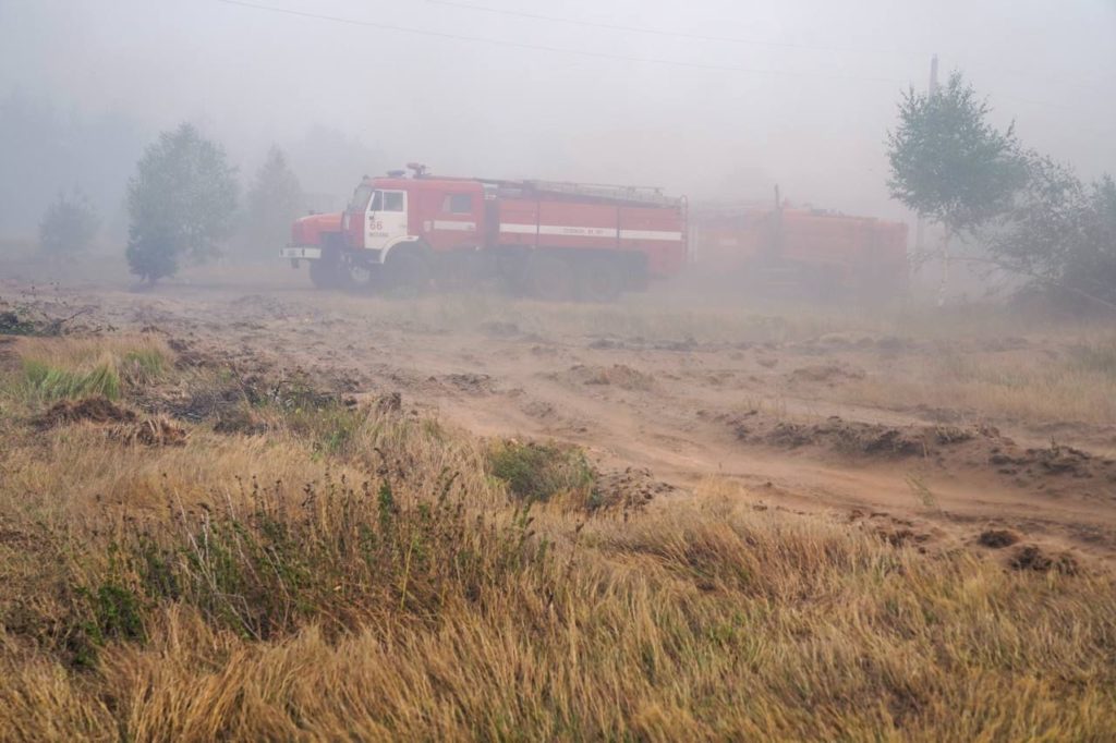 лесные пожары в Рязанской области