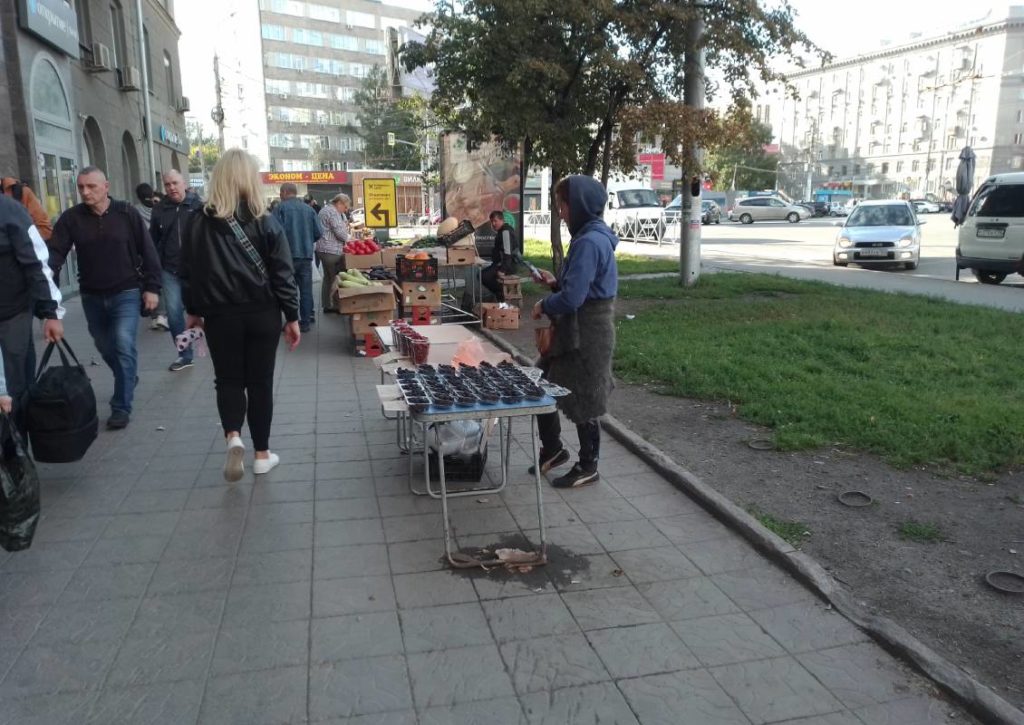 Консульства трех государств подключат к борьбе с уличной торговлей в Новосибирске