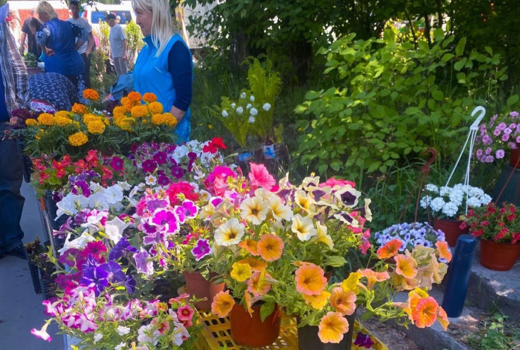 В Новосибирске пройдет ярмарка для садоводов и огородников
