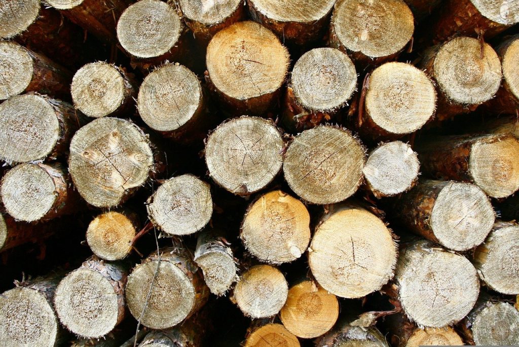 Иркутская таможня возбудила еще одно уголовное дело о крупной контрабанде леса