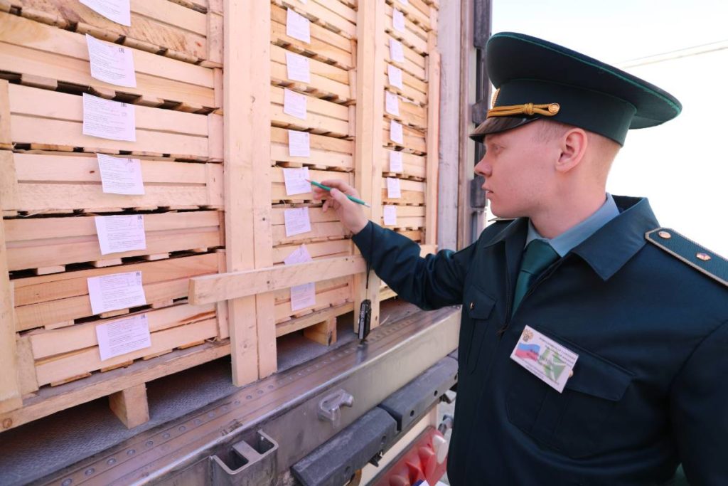 Импорт лука в регионы Сибири вырос в 4,7 раза