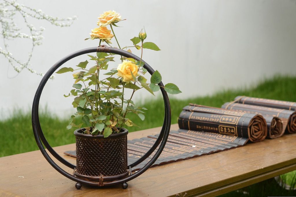 Лунный календарь цветовода на октябрь 2022