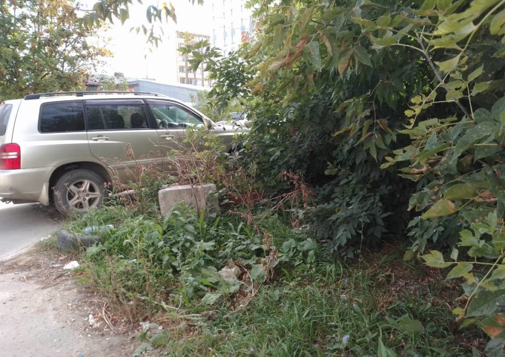 В Новосибирске предлагают повысить штрафы для водителей