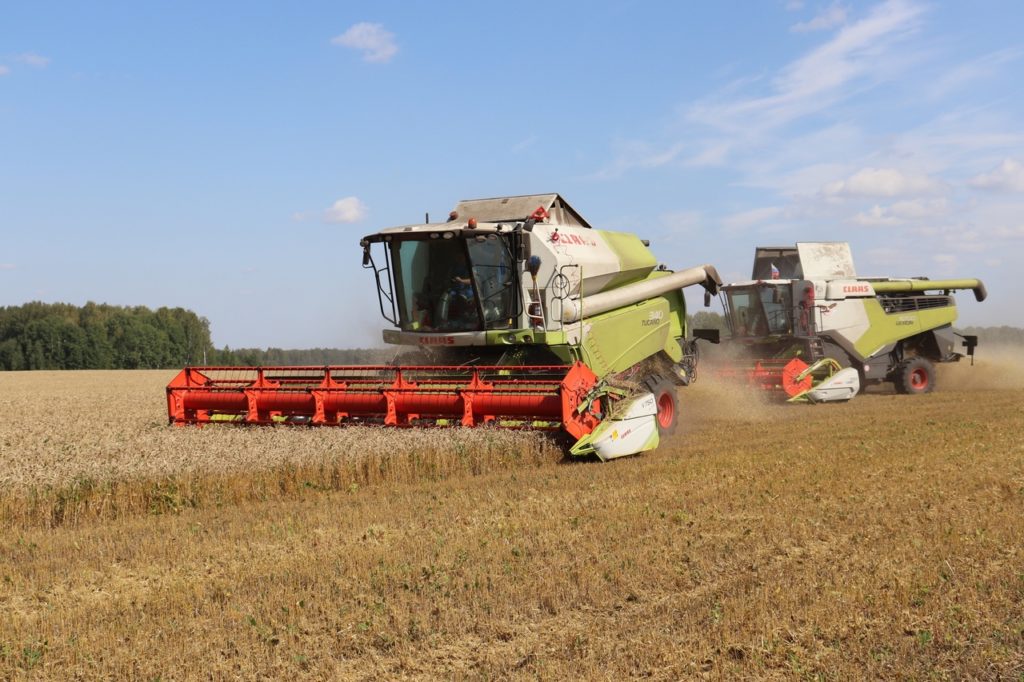 В новосибирском Минсельхозе увидели предпосылки для снижения цен на хлеб