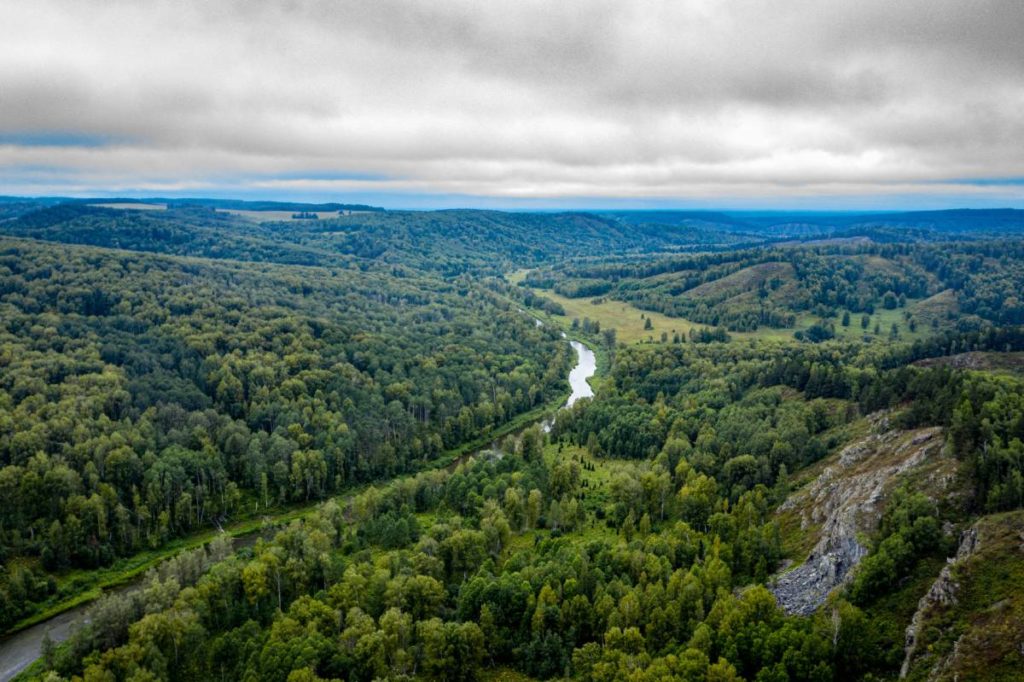 В Маслянино проектируют особую экономическую зону