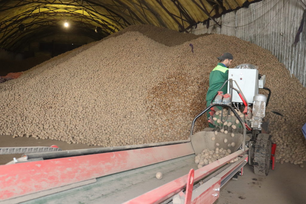 Аграриям рекомендуют переждать низкие цены на зерно и овощи