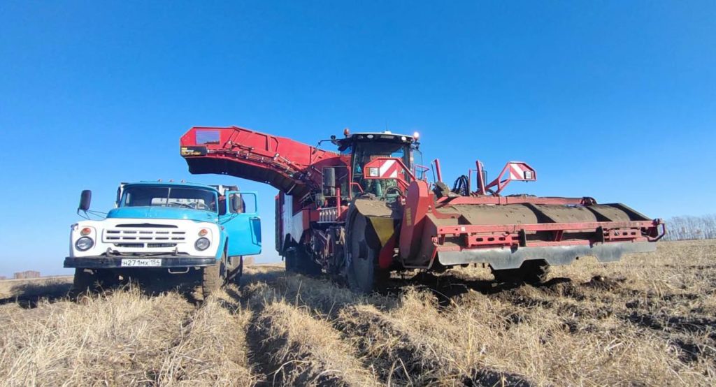 Аграрии столкнулись с резким снижением закупочных цен на овощи и картофель