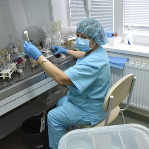 Новосибирский «Вектор» создал лекарство от оспы
