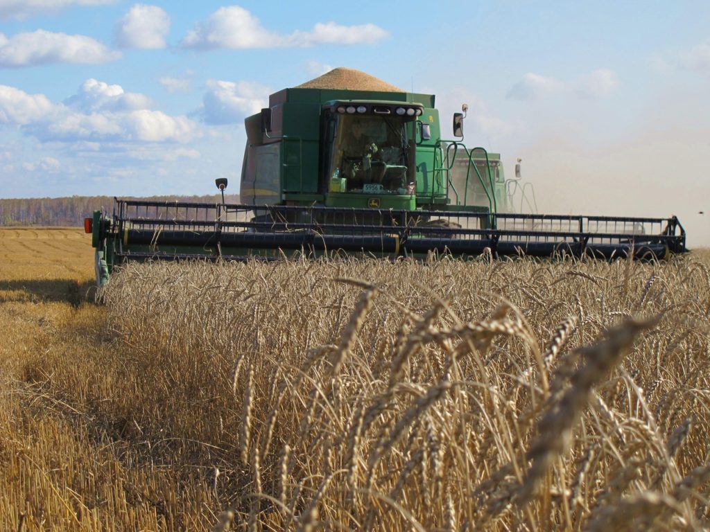 Как нормализовать ситуацию с ценами на рынке зерна?