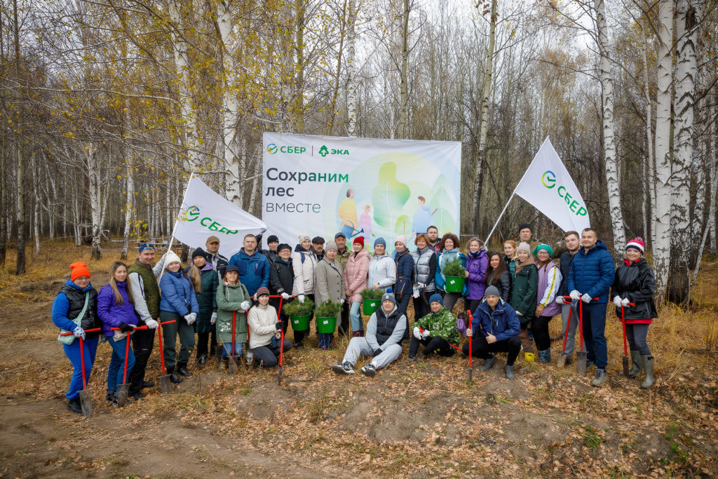 Сбер высадил почти восемь тысяч саженцев кедра в Мошковском районе Новосибирской области