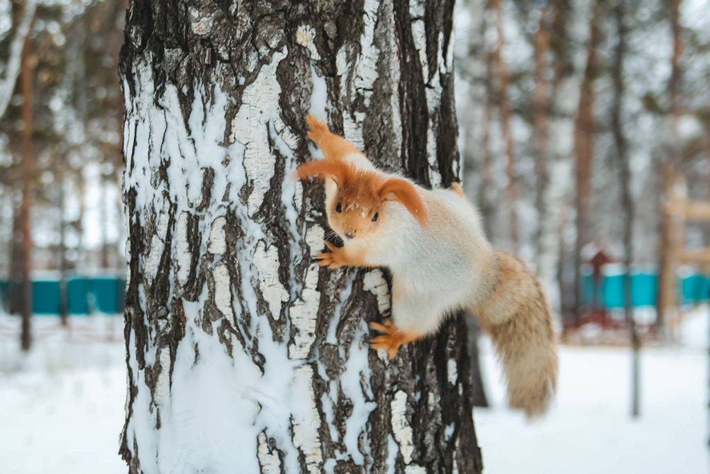 Санаторий «Рассвет»: скидка за раннее бронирование