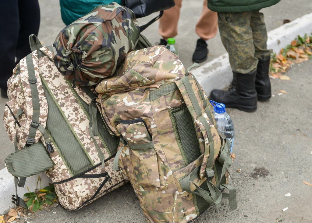 Более 2 тыс. заявлений на поддержку подали семьи мобилизованных в Новосибирской области