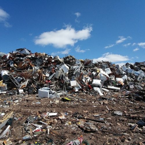 На территории Новосибирской области насчитали более 300 незаконных свалок мусора