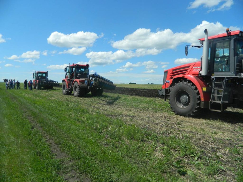 Какие сельские районы в Новосибирской области получат средства федерального Минсельхоза?