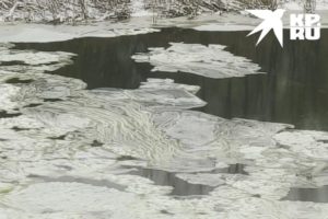 В Новосибирске реку заволокло грязной плёнкой, которая напугала местных жителей