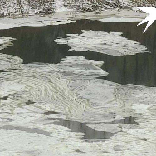 В Новосибирске реку заволокло грязной плёнкой, которая напугала местных жителей