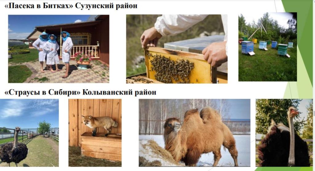 Туристические проекты, обеспечивающие рост производства сельхозпродукции, получат господдержку