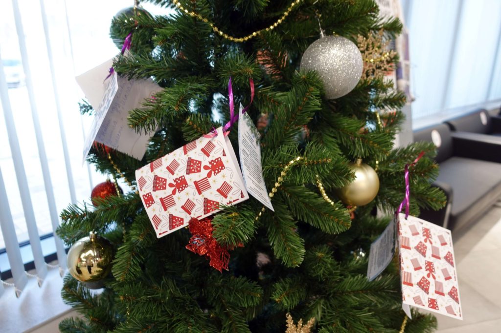 Новосибирцам предлагают поучаствовать в благотворительной акции