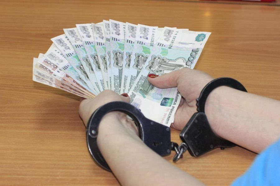 Главный бухгалтер частного детского дома украла 34 млн. рублей