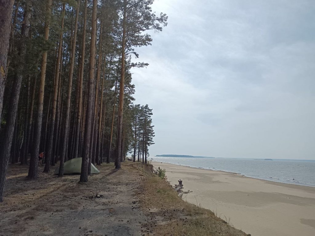 Ночевка в рекреационной зоне Караканского бора будет платной