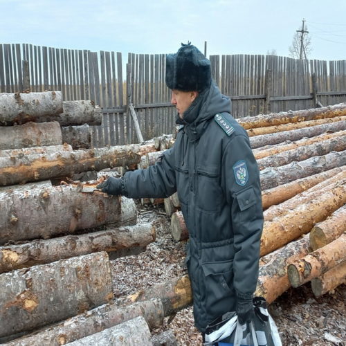 экспорт леса в Китай