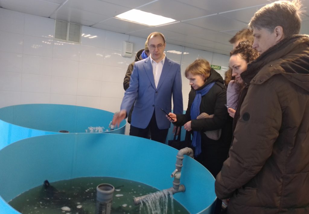 Австралийские раки могут прописаться в водоемах Сибири